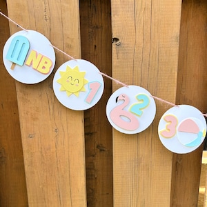 Pool Party Milestone Photo Banner | One in the Sun First Birthday Party Decorations | Pastel Pool Party Decor | Summer Birthday