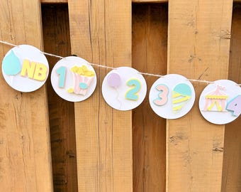Peut inclure: Une guirlande blanche avec des découpes sur le thème du cirque aux couleurs pastel. La guirlande comprend une forme de goutte d'eau avec "NB", du pop-corn, un ballon avec le chiffre "2", une glace et un chapiteau de cirque avec le chiffre "4".