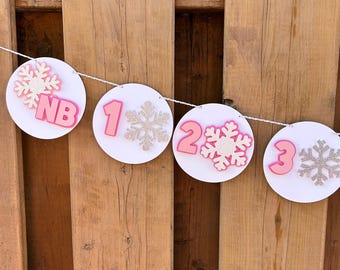 Pink Snowflake Monthly Milestone Photo Banner | Girls Winter ONEderland First Birthday Party Decorations