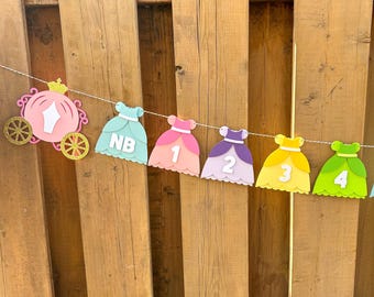 Princess Milestone Photo Banner | Princess First Birthday Party Decorations | ONEce Upon a Time Party Decor | Fairytale Birthday Supplies