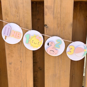 Pool Party Milestone Photo Banner | One in the Sun First Birthday Party Decorations | Pastel Pool Party Decor | Summer Birthday