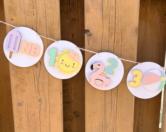 Pool Party Milestone Photo Banner | One in the Sun First Birthday Party Decorations | Pastel Pool Party Decor | Summer Birthday