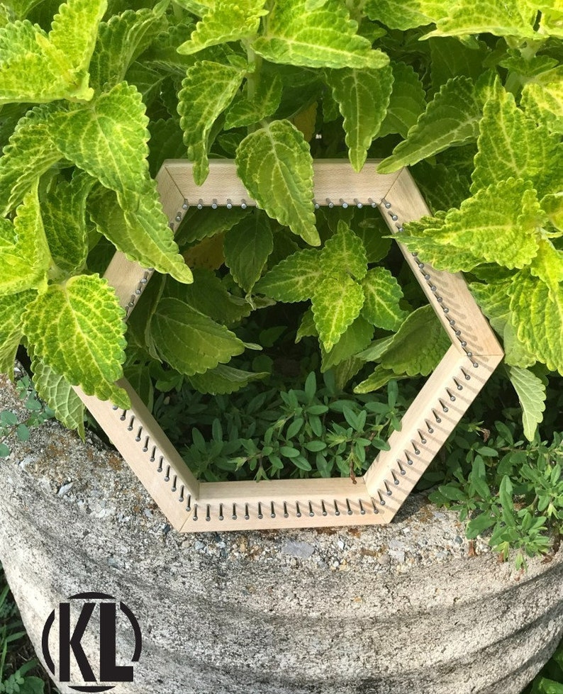 May include: A hexagonal wooden loom with metal pegs around the perimeter, sitting on a gray concrete surface. The loom is surrounded by green foliage.