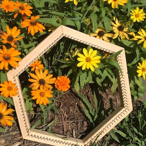 Puede incluir: Un telar de tejido geométrico de madera con clavijas metálicas, situado entre vibrantes flores naranjas y amarillas. La madera clara del telar contrasta con las coloridas flores y el follaje verde, creando una composición visualmente atractiva. El telar está listo.