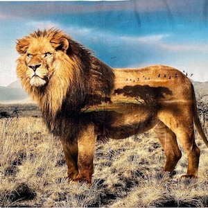 Wild Kingdom Lion by Hoffman