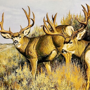 Majestic in Nature Deer by RileyBlake