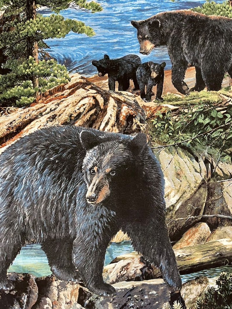 Bear Panel by Springscreative Etsy