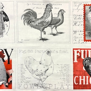 Fowl Play Panel by QT