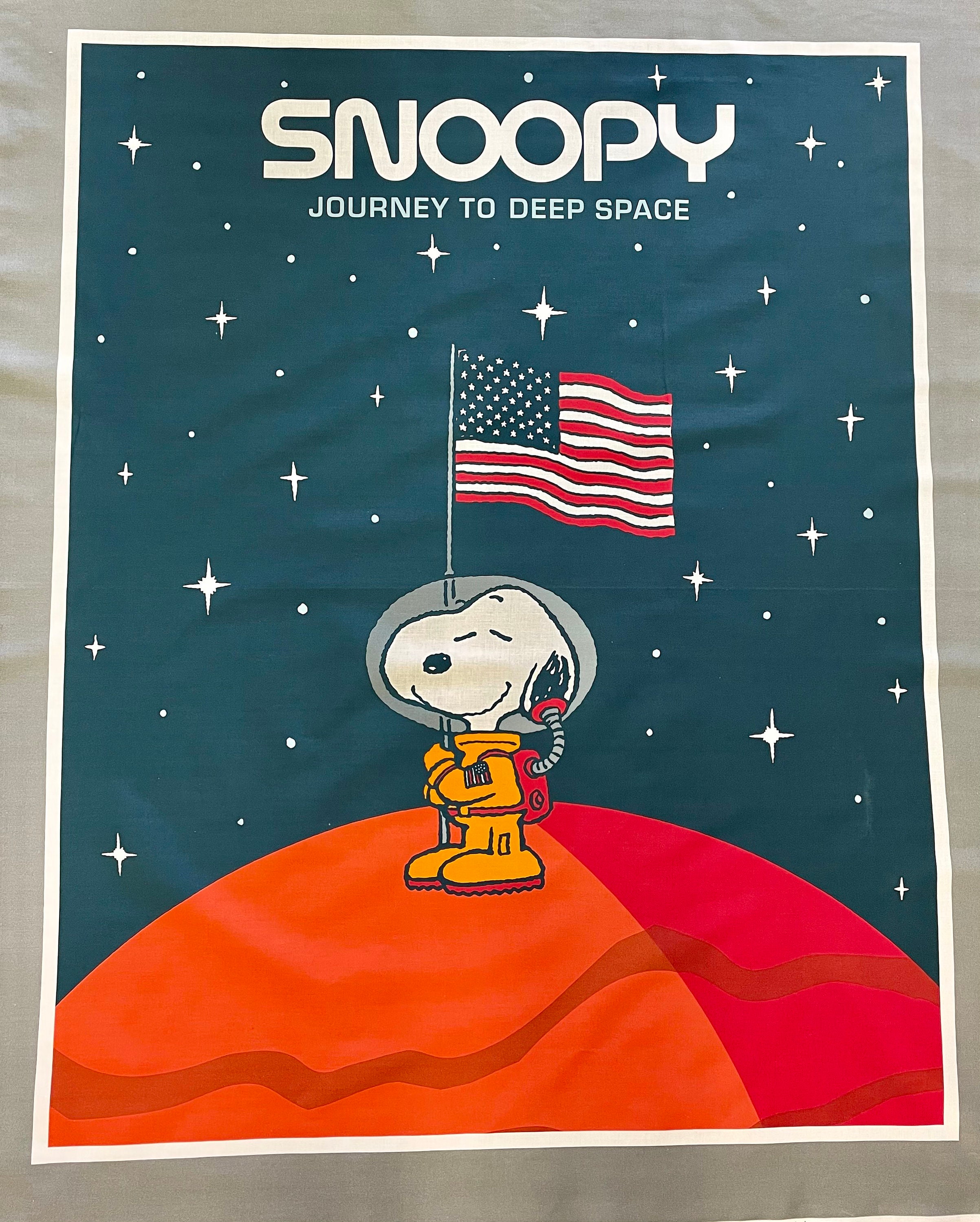 snoopy アストロノーツ　NASA ヴィンテージ　シルクスクリーン　ポスター s-l400.jpg