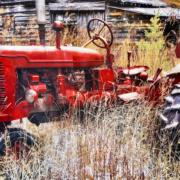 Red Tractor (winter) panel by Artlicencing