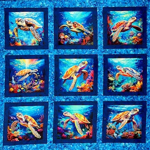 Coral Cruisers by MDG