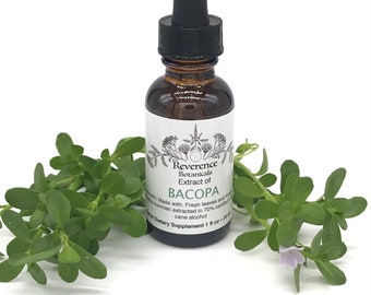 Bacopa tincture, Fresh Bacopa extract, Bacopa monnieri