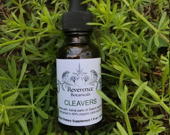 Cleavers extract, Fresh Cleavers tincture, Galium aparine