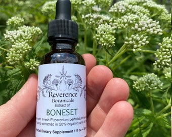 Bonset Tincture, Bonset extract, Boneset herb, Eupatorium perfoliatum