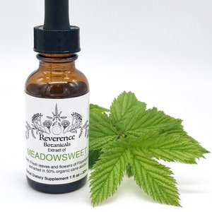 Meadowsweet tincture, Fresh Meadowsweet extract, leaf and flower, Filipendula ulmaria