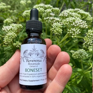 Bonset Tincture, Bonset extract, Boneset herb, Eupatorium perfoliatum