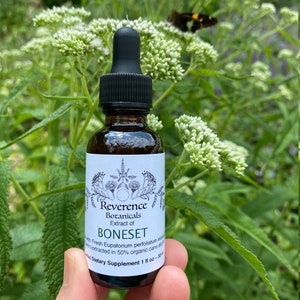 May include: A small glass bottle with a dropper, labeled "Reverence Botanicals Extract of Boneset", with the text "Fresh Eupatorium perfoliatum leaves extracted in 50% organic cane alcohol. Herbal Dietary Supplement 1 fl oz ~ 30 ml."