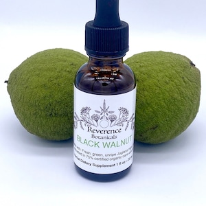 Black Walnut tincture, Black walnut extract, Juglans nigra