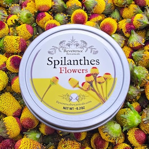 Dried Spilanthes Flowers, Buzz Button, Electric Daisy, Paracress for Cocktails