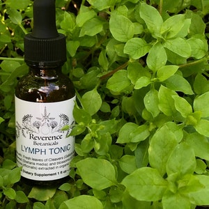 Lymph tonic