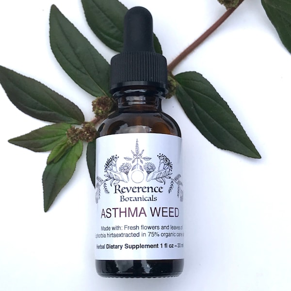 Asthma Weed, Euphorbia hirta tincture, Ayurvedic herb