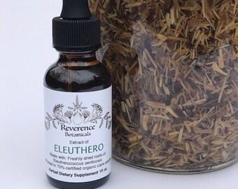 Eleuthero tincture, Freshly dried Eleuthero extract, Buhner protocol, Buhner herb, Adrenal herb, Siberian Ginseng, Heart tonic