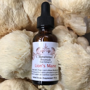Lion&#39;s mane Mushroom dual extract