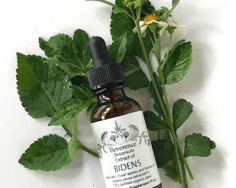 Bidens Tincture, Fresh Bidens extract, Bidens pilosa 