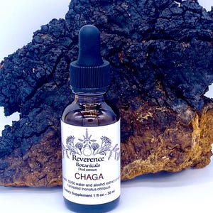 Chaga tincture, Chaga Dual extract, Innotus obliquus