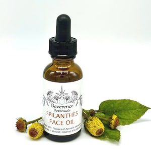May include: An amber glass bottle with a black dropper cap containing face oil. The white label features the text Reverence Botanicals Spilanthes Face Oil and a botanical illustration. Three yellow and brown spilanthes flowers with green leaves.