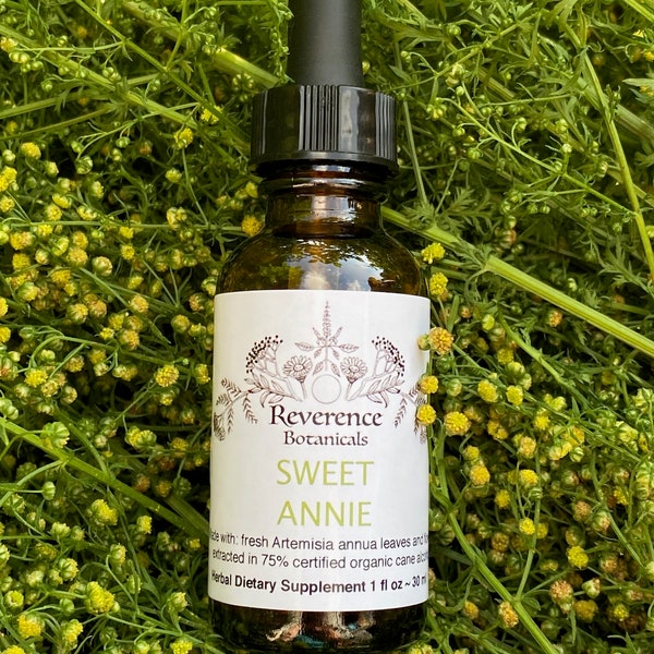 Sweet Annie tincture, Fresh Artemisia annua extract, sweet wormwood