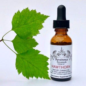 Hawthorn tincture, Fresh Hawthorn extract, Hawthorn berry, flower and leaf, Crataegus spp