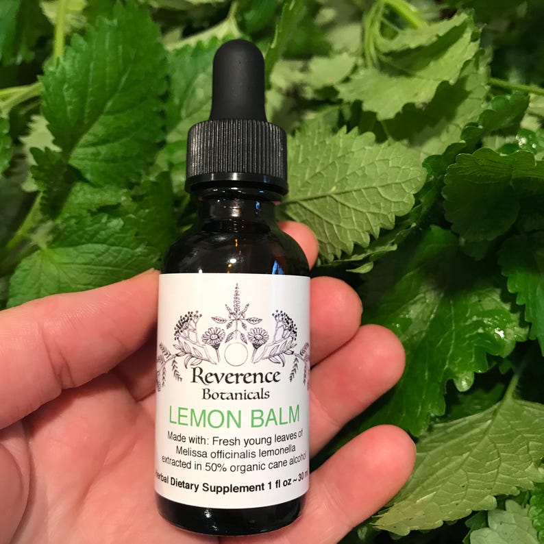 May include: A small brown glass bottle with a dropper top, labeled "Reverence Botanicals Lemon Balm". The bottle is filled with a clear liquid and is sitting on a hand. The label also says "Made with: Fresh young leaves of Melissa officinalis lemonella extracted in 50% organic cane alcohol. Herbal Dietary Supplement 1 fl oz ~ 30 ml."