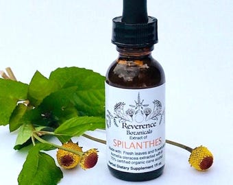 Nalewka z liści i kwiatów Spilanthes, świeży ekstrakt z liści i kwiatów Spilanthes, Acmella oleracea