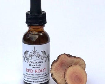 Red Root tincture, Fresh Red Root Tincture, Fresh Ceanothus americanus