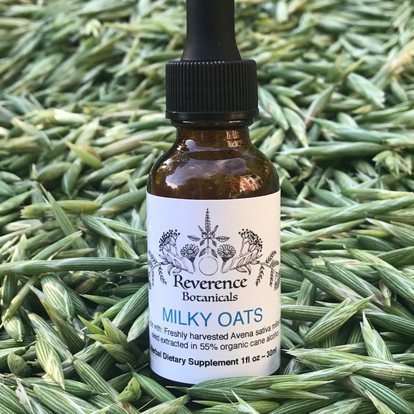 Milky oat extract, Fresh seed head Milky Oats tincture