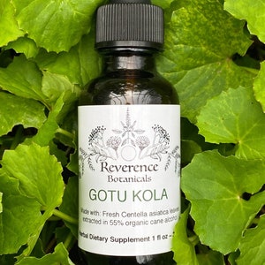 Gotu kola extract, Fresh Gotu kola tincture, Centella asiatica