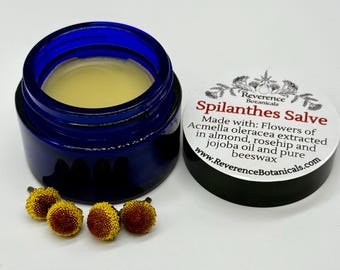 Ungüento de Spilanthes, cuidado de la piel madura, aceite de Paracress, aceite de Spilanthes, cuidado de la tez, cuidado de la piel orgánico