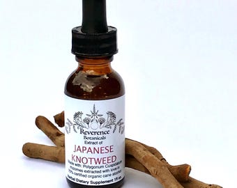 Japanese Knotweed tincture, Fresh Japanese Knotweed Root Extract, Resveratrol herb