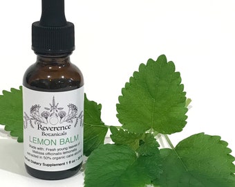 Melisse-Tinktur, Melisse-Extrakt, frische Melissa officinalis