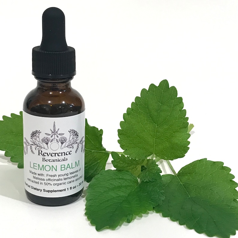 May include: A brown glass bottle with a dropper top and a white label that reads "Reverence Botanicals Lemon Balm Made with: Fresh young leaves of Melissa officinalis lemonella extracted in 50% organic cane alcohol Dietary Supplement 1 fl oz - 30 ml". The bottle is sitting on a white surface with green lemon balm leaves.