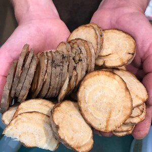 May include: Close-up of a pile of dried, light brown, and beige root slices. The slices are stacked and arranged in a person's hands.