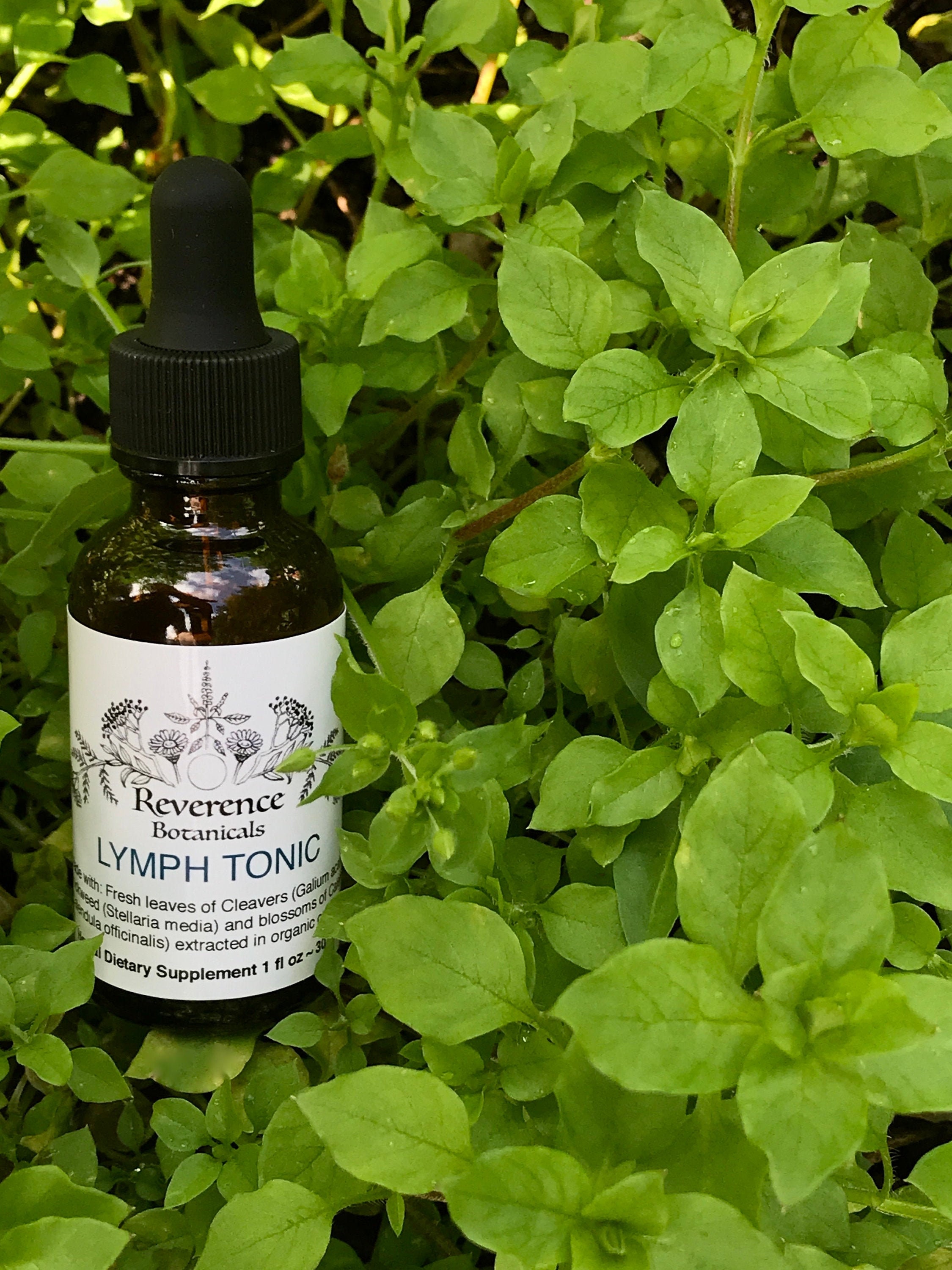 Lymph tonic