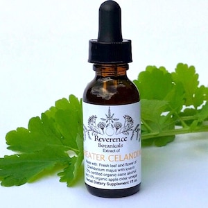 Greater Celandine tincture, fresh greater Celandine extract, Chelidonium majus