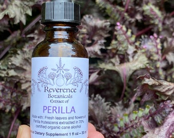 Perilla extract, Perilla tincture, Shiso extract, Fresh leaf, flower, and seed of Perilla frutescens