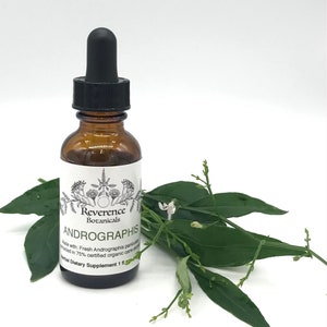 Andrographis tincture, fresh Andrographis extract