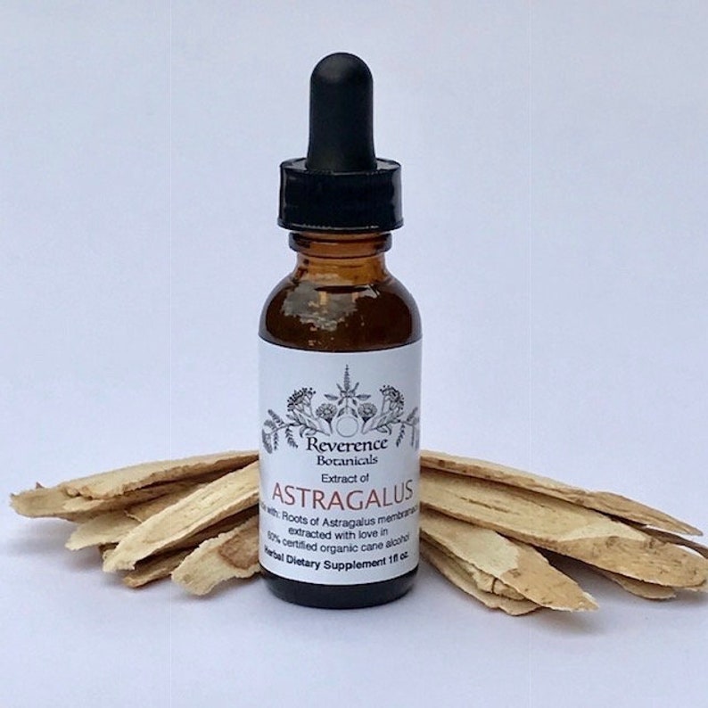 Astragalus Root Tincture Astragalus Membranaceus Huang Qi Etsy