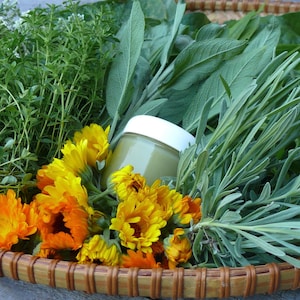 May include: A glass jar filled with a green herbal salve sits in a woven basket surrounded by fresh herbs, including sage, thyme, and lavender.