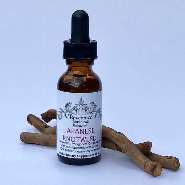 Japanese Knotweed tincture, Fresh Japanese Knotweed Root Extract, Resveratrol herb