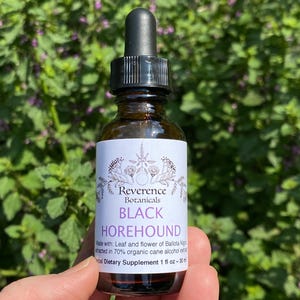 Black Horehound tincture, Ballota nigra extract